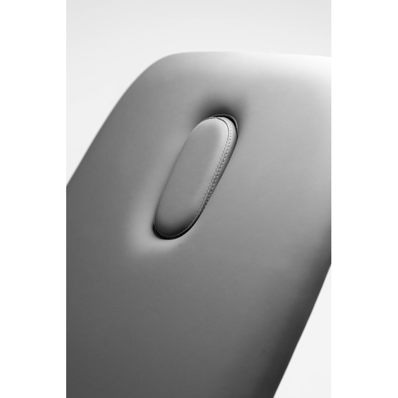 Električna miza CLASSIC 210