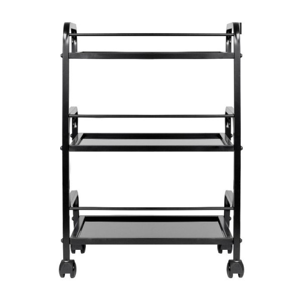 Aufbewahrungswagen PRO INK AS2970