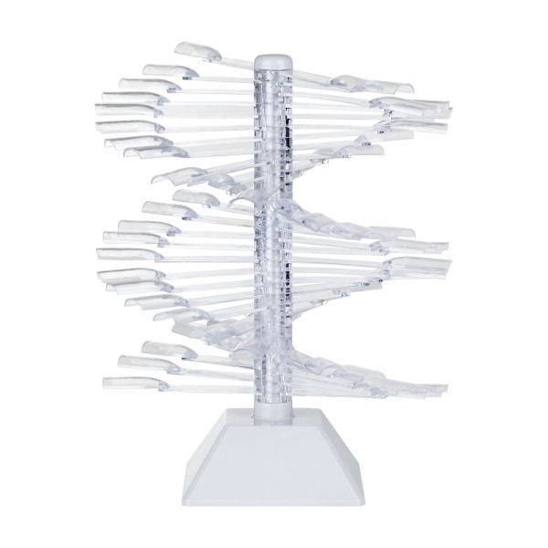 Vertikale Nagelformschablone AS4345