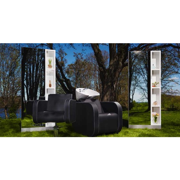 Frizerski umivalnik Globe