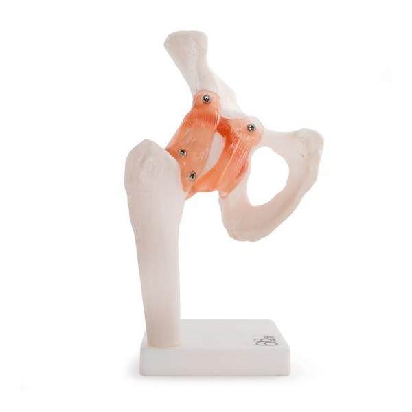 KOLČNI SKLEP 11209-4