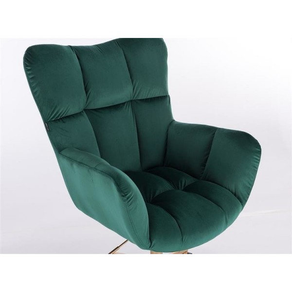 oblazinjen v mehkem žametu