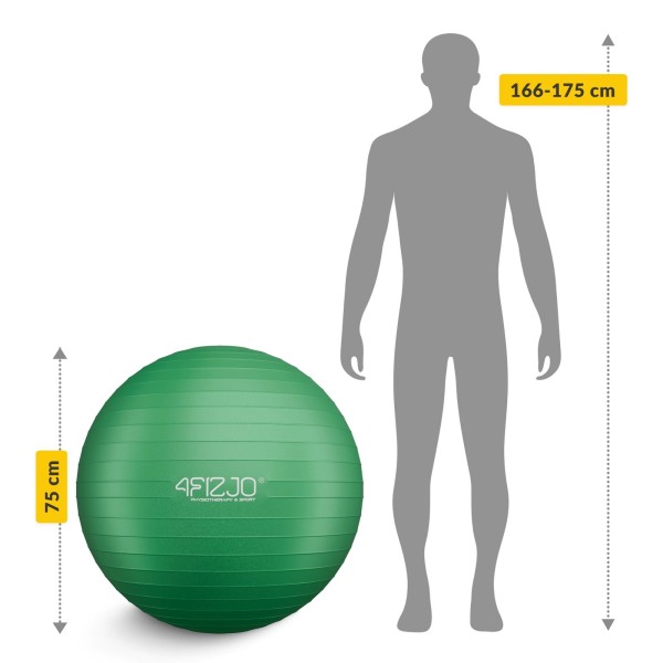 Žoga za rehabilitacijo FIZJO 55 - 85 cm