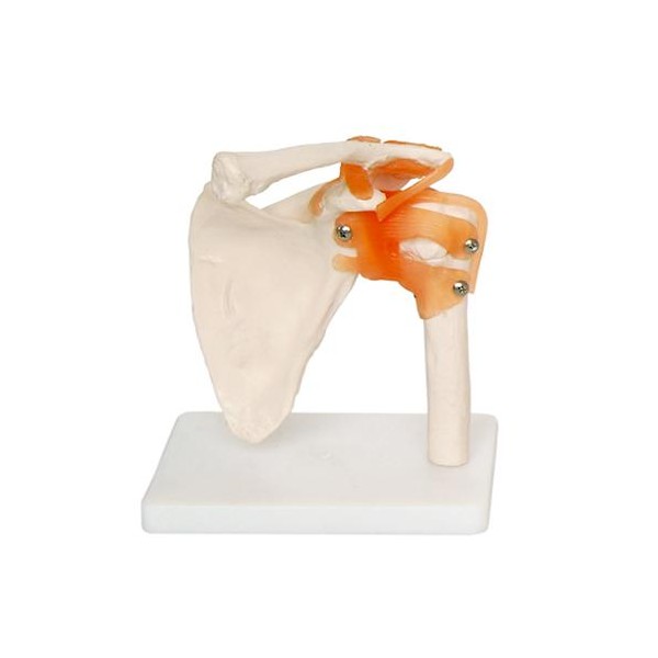 RAMENSKI SKLEP 11209-3