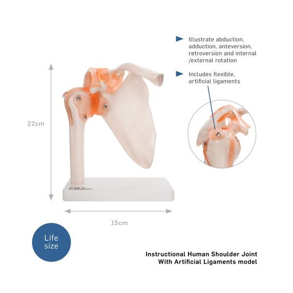 RAMENSKI SKLEP 11209-3