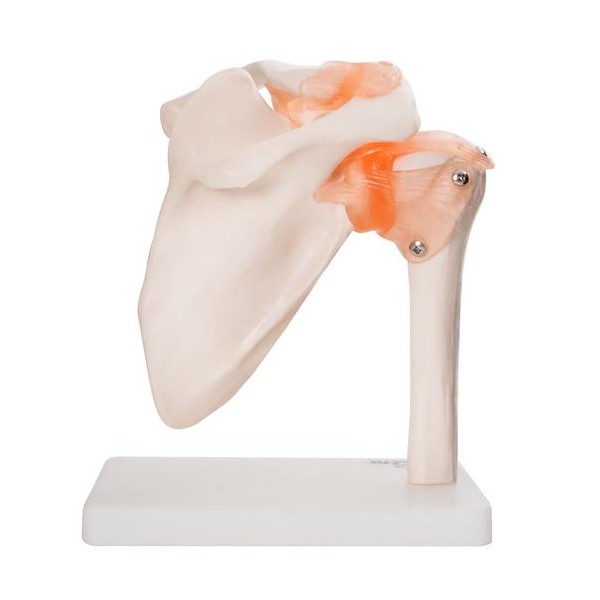 RAMENSKI SKLEP 11209-3