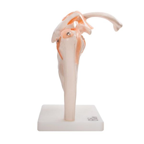 RAMENSKI SKLEP 11209-3