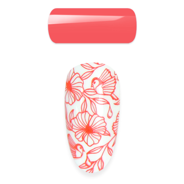 Moyra Stamping and Painting Gel Nr.16