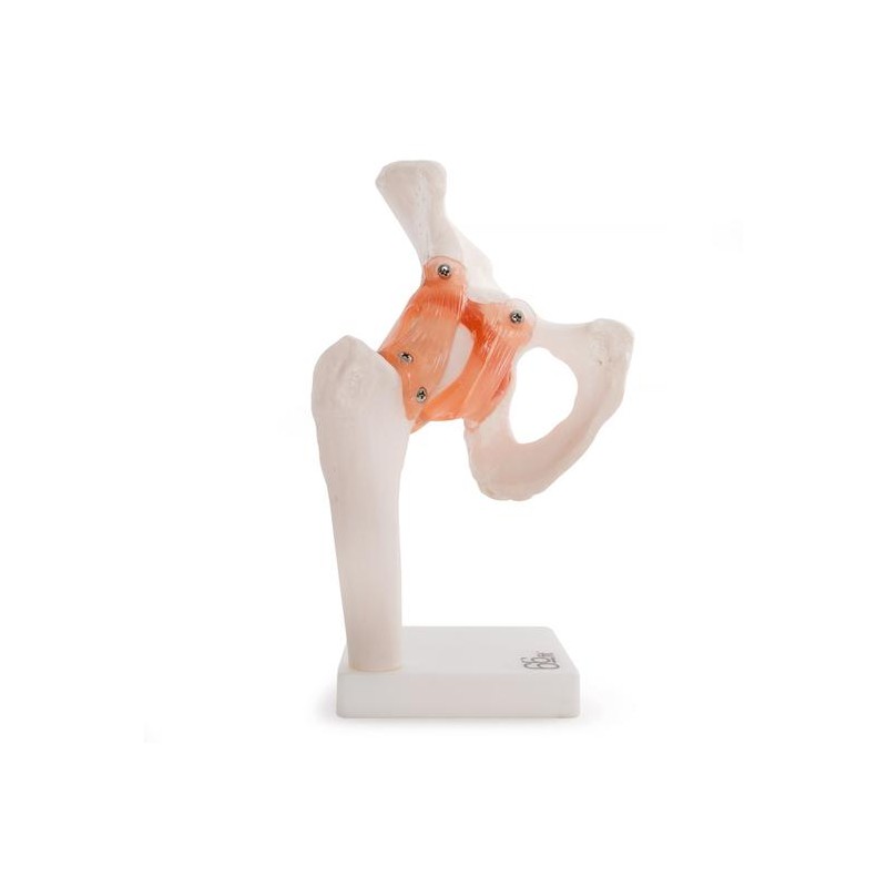 KOLČNI SKLEP 11209-4