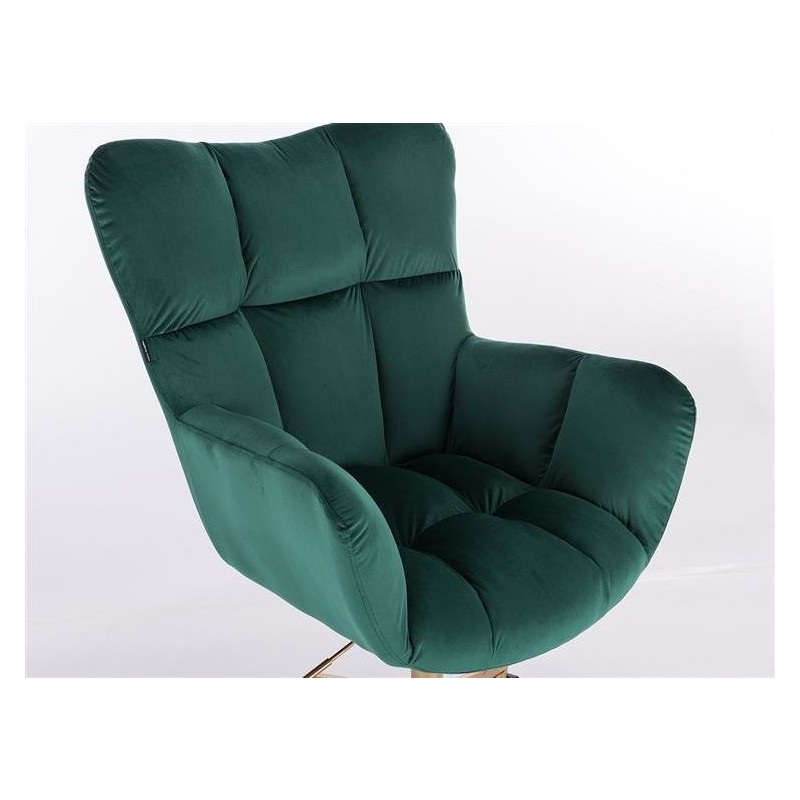 oblazinjen v mehkem žametu