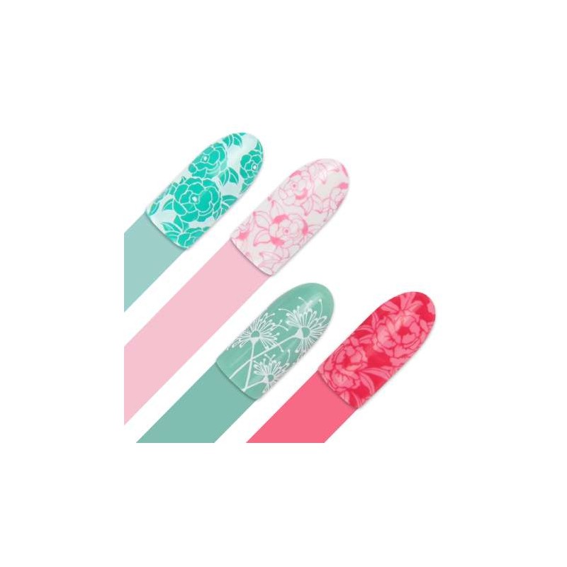 Moyra Platte BIG IN JAPAN Nr.95