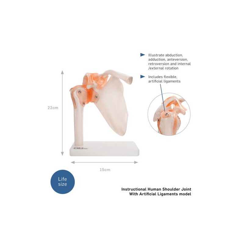 RAMENSKI SKLEP 11209-3