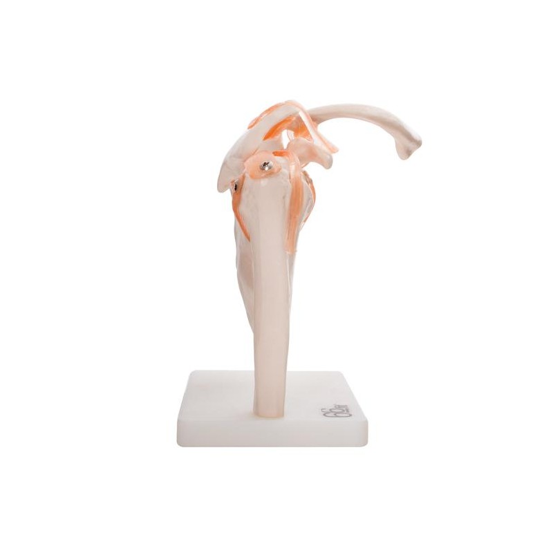 RAMENSKI SKLEP 11209-3