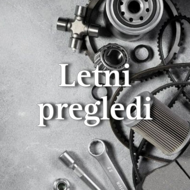 Letni pregledi