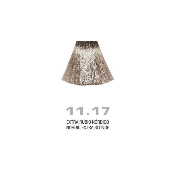 Divina.One N.11.17