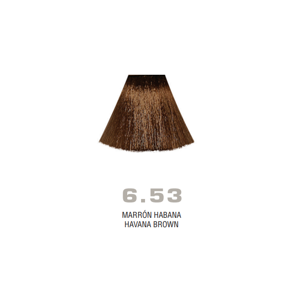 Divina.One N.6.53