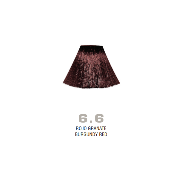 Divina.One N.6.6