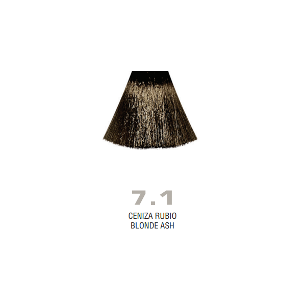 Divina.One N.7.1