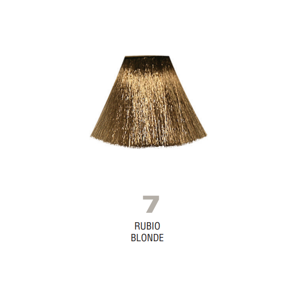 Divina.One N.7