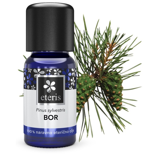 Bor eterično olje (CT pinus sylvestris)