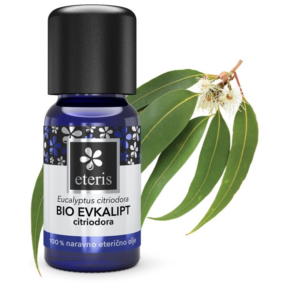 Evkalipt citriodora – BIO eterično olje