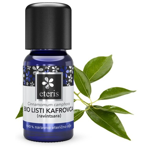 Listovi kamfora (BIO eterično ulje – ravintsara)