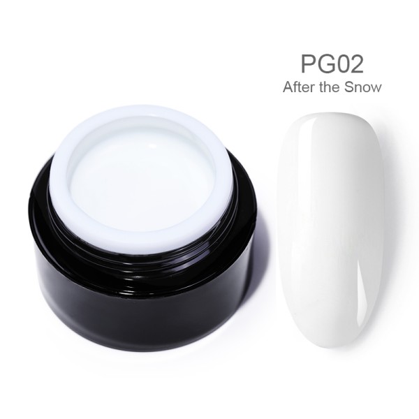 PG02 after the snow 3d 2in1 UV gel 5ml 45208-2