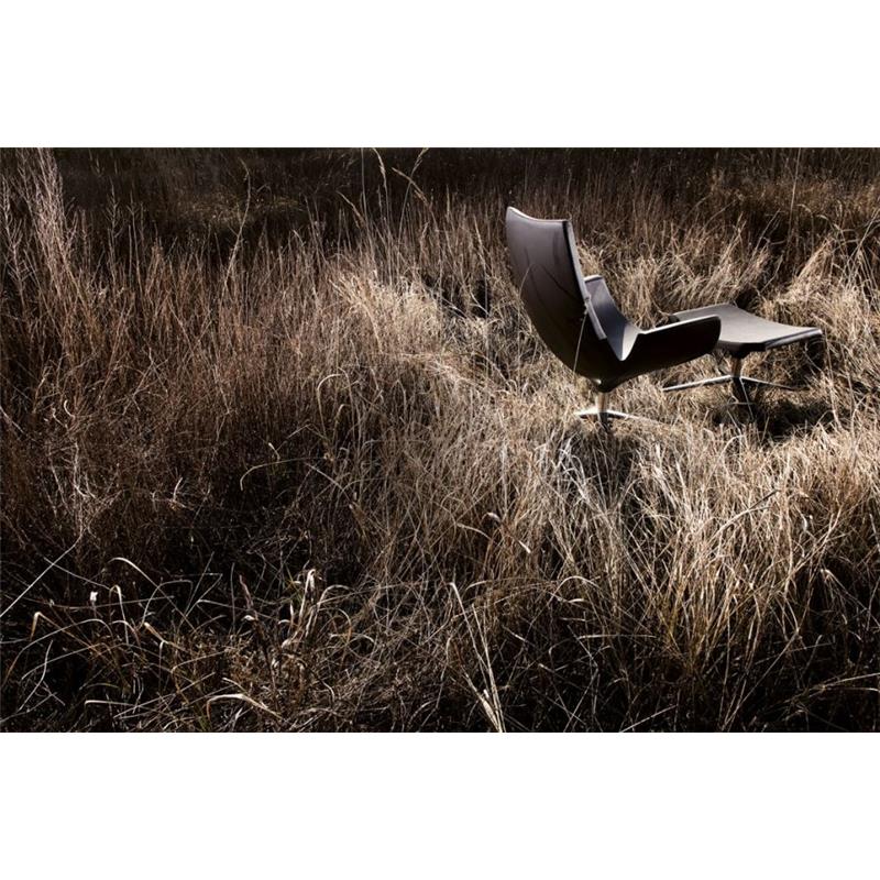 Sessel Beetle - HOHE RÜCKENLEHNE