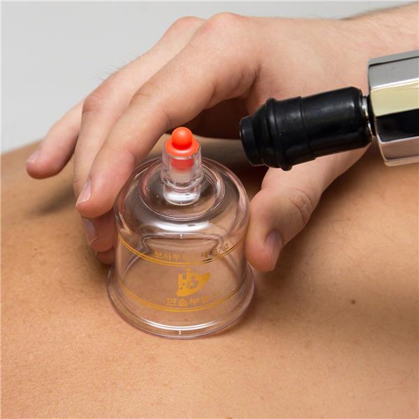 Hansol-Saugnäpfe 10 Stück