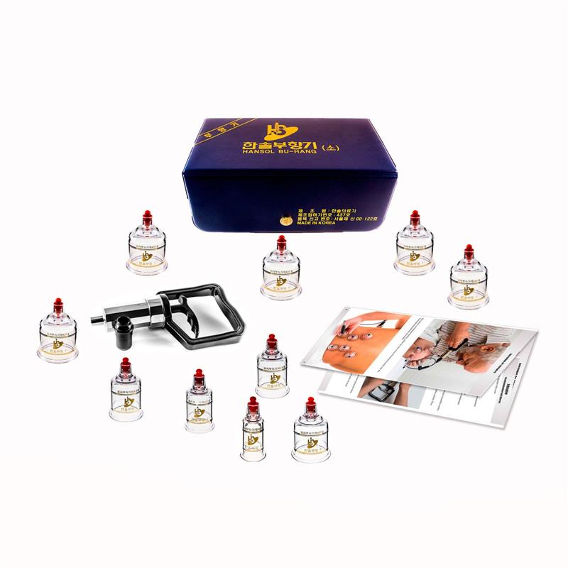 Hansol-Saugnäpfe 10 Stück